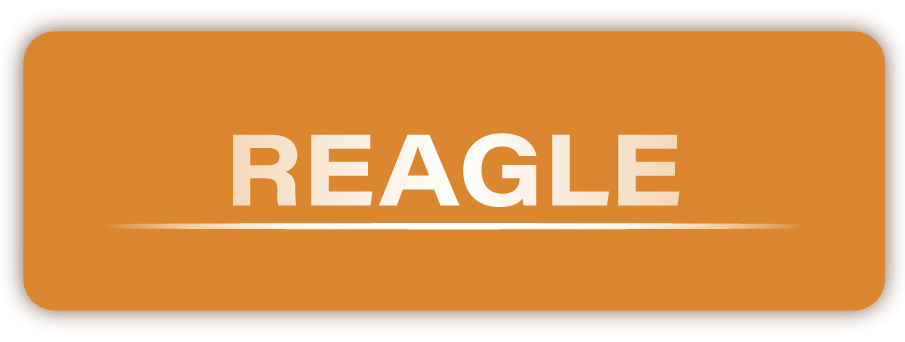 REAGLE – Measurement Technology for Demanding Machine Environments